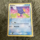 Mudkip