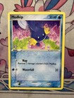 Mudkip