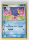 Mudkip