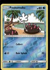 Pyukumuku