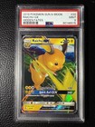 Raichu GX