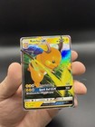 Raichu GX