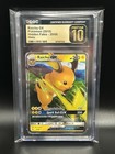 Raichu GX