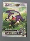 Rattata