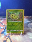 Chikorita