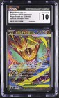 Mega Hawlucha ex