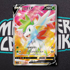 Shaymin V