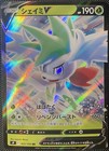 Shaymin V