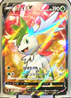 Shaymin V