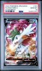 Shaymin V