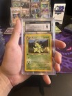 Bayleef
