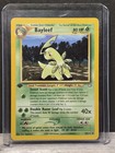 Bayleef