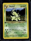 Bayleef