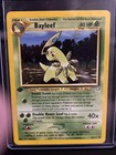 Bayleef
