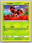 Ledyba