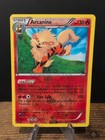Arcanine