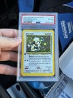 Smeargle