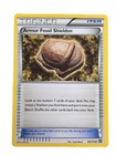 Armor Fossil Shieldon