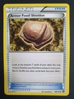 Armor Fossil Shieldon