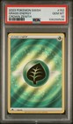 Grass Energy