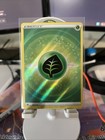 Grass Energy