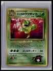 Erika's Victreebel