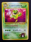 Erika's Victreebel