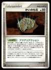 Helix Fossil
