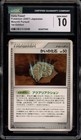 Helix Fossil