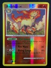 Rapidash
