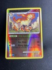 Rapidash