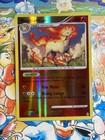 Rapidash