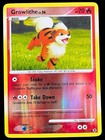 Growlithe