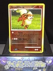 Growlithe