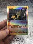 Torchic