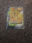 Pikachu V Union