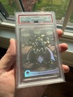 A Pokemon Wonderland