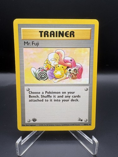 Mr. Fuji