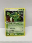Sceptile