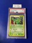 Sceptile