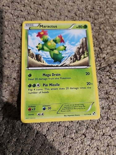 Maractus