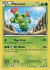 Maractus
