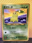 Chikorita