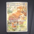 Pawmot