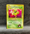 Erika's Weepinbell