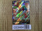 Flygon V