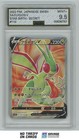 Flygon V