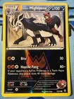 Team Magma's Mightyena