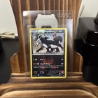 Team Magma's Mightyena