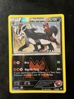 Team Magma's Mightyena